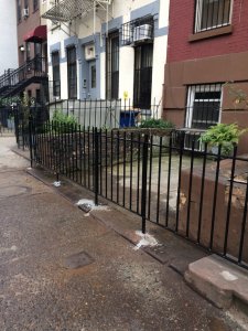 Street view of iron fence